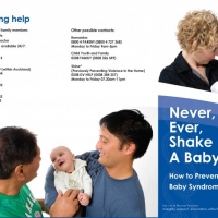 Never Shake Baby 2010.indd