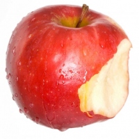 Apple_20081024_300dpi_06
