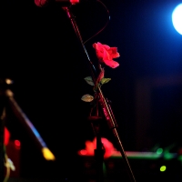 06Live